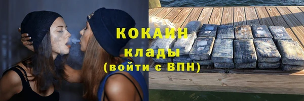 сатива Аркадак