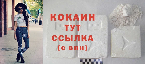 сатива Аркадак