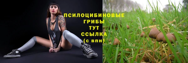 дурь Арсеньев