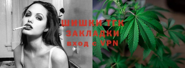сатива Аркадак