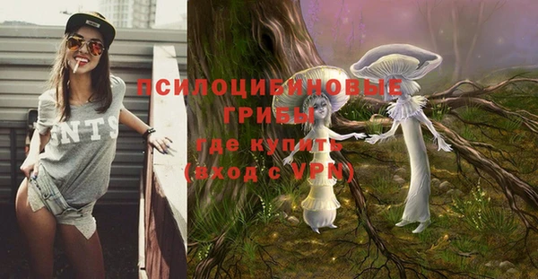 сатива Аркадак