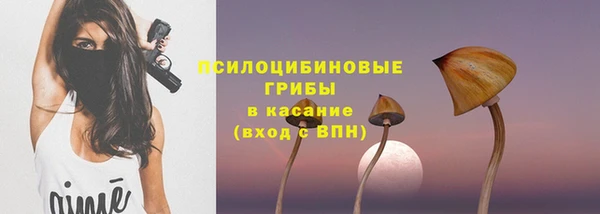 дурь Арсеньев