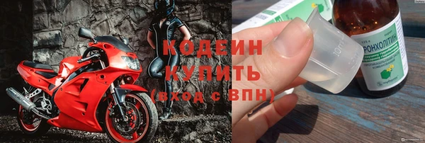 дурь Арсеньев