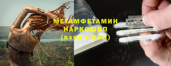 сатива Аркадак