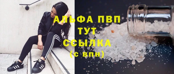 сатива Аркадак